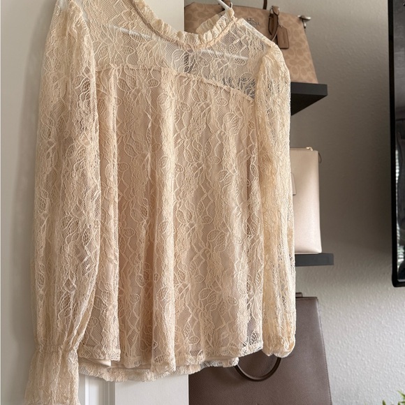 Elegant Lace Cream Top - Picture 1 of 1